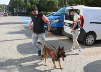 Baro Başkanı ve avukatlar uyuşturucudan gözaltına alındı