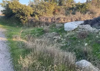 Boş arazide bebek cesedi bulundu