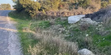 Boş arazide bebek cesedi bulundu