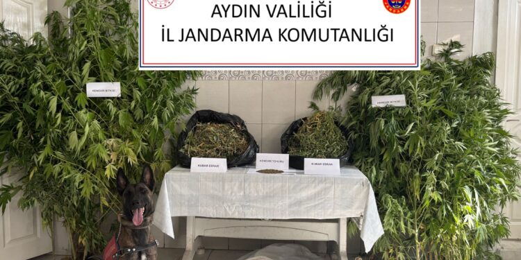 Bozdoğan uyuşturucu tutuklama 2