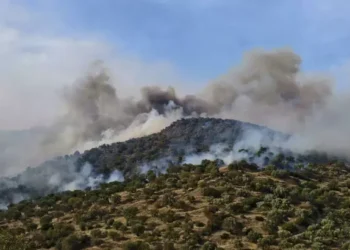 Bozdoğan’da alevler yükseldi, bölgeyi duman kapladı