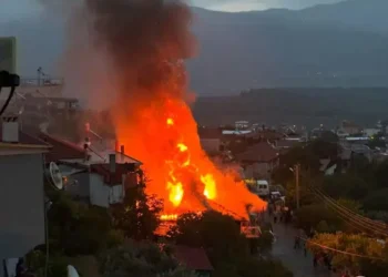 Bozdoğan’da müstakil evde çıkan yangın 2,5 saatte söndürüldü