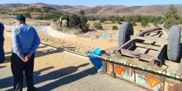 Buğday yüklü traktör devrildi 2 ölü