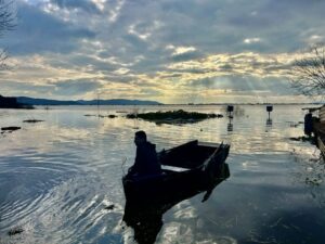 Aydın’ın Söke ilçesinde Büyük Menderes Nehri’nin taşmasıyla bazı mahalleler sular