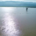 Büyük Menderes Nehri taştı araziler su altında kaldı