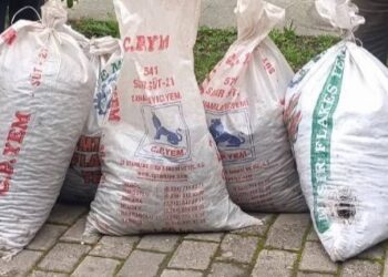 Çaldıkları 200 kilogram zeytinle yakalandılar