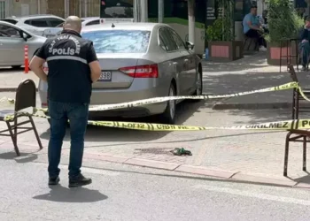 'Camide minibüs yıkama' diye uyaran muhtarı bıçakladı