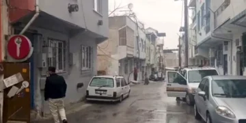 Cani koca dehşet saçtı