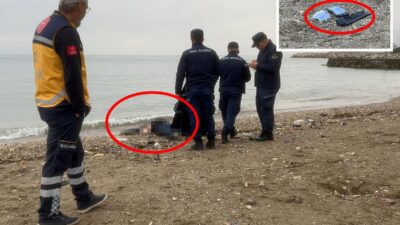 Bursa'da Mudanya sahilindeki plajda sabah erken saatlerde kıyıya vurmuş halde
