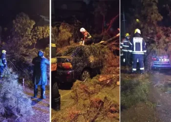 Çift otomobille devrilen ağacın altında kaldı
