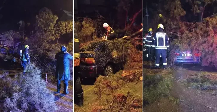 Çift otomobille devrilen ağacın altında kaldı