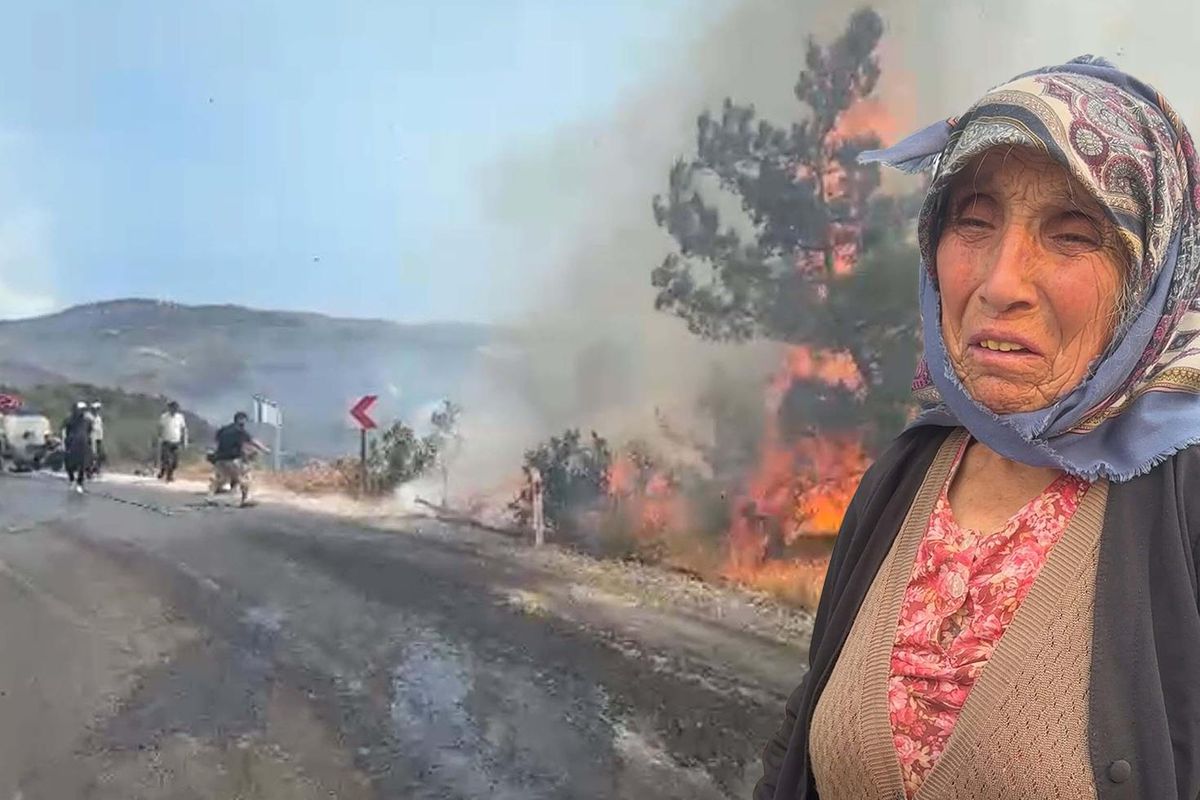 Cin’deki yanginda kopegi icin gozyasi doktu Cin’deki yanginda kopegi icin gozyasi doktu