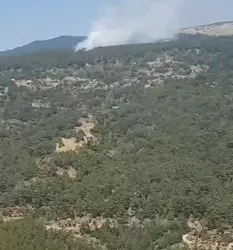 Çine Madran Dağı’nda orman yangını