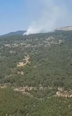 Çine Madran Dağı’nda orman yangını