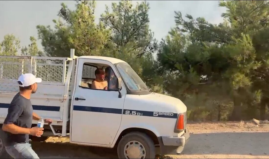Çine’de hayvanlarını kurtarırken can verdi Aydın'ın Çine ilçesinde 30 Temmuz'da çıkan orman yangınında hayvanlarını kurtarmak