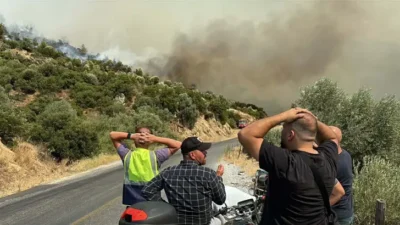 Aydın'ın Çine ilçesinde dün çıkan orman yangınında, rüzgarın etkisini artırmasıyla