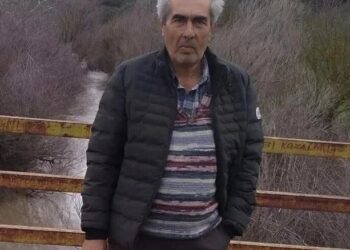 Çine’de zeytinlikte cansız bedeni bulundu