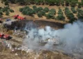 Çöplükte başlayıp, ormana sıçrayan yangın söndürüldü