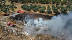 Çöplükte başlayıp, ormana sıçrayan yangın söndürüldü