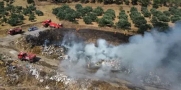 Çöplükte başlayıp, ormana sıçrayan yangın söndürüldü