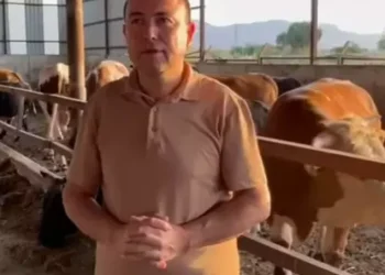 Dananın saldırısına uğrayan iş insanı öldü