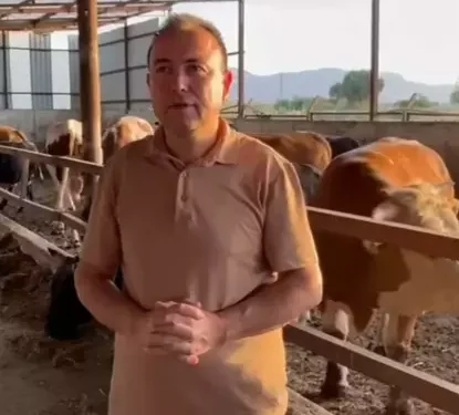 Dananın saldırısına uğrayan iş insanı öldü