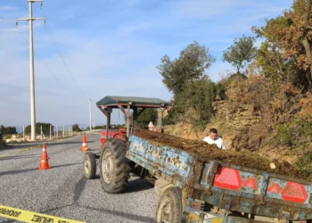 Dedesinin kullandığı traktörün altında kaldı