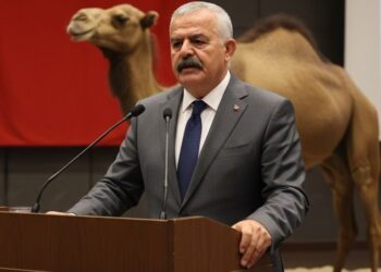 Devecilerden Günel’e sert tepki Bu sözü kabul etmiyoruz