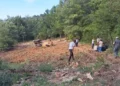 Devrilen traktörün altında kalan sürücü öldü