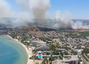 Didim’de makilik alanda yangın