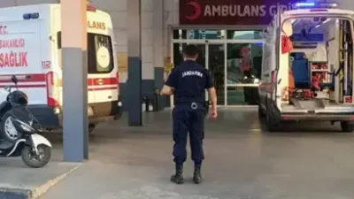 Aydın'ın Bozdoğan ilçesinde, incir bahçesinde domuz nöbeti tutan Cihan D.'nin