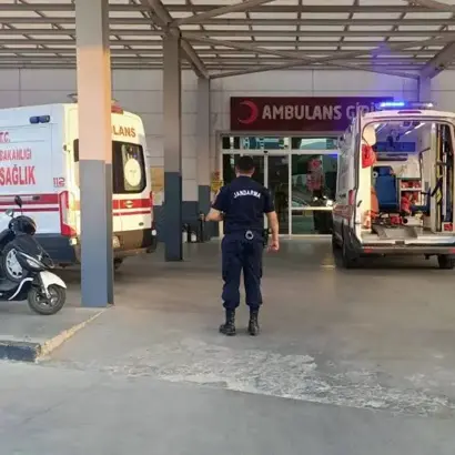 Aydın'ın Bozdoğan ilçesinde, incir bahçesinde domuz nöbeti tutan Cihan D.'nin