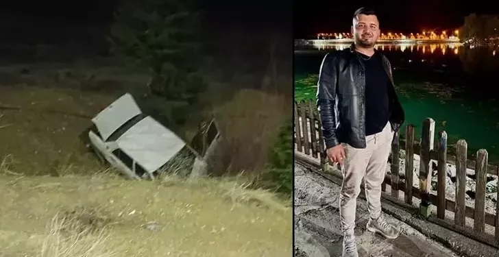 Domuza çarpıp şarampole yuvarlandı