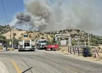 Efeler’de tarım arazisinde yangın çıktı