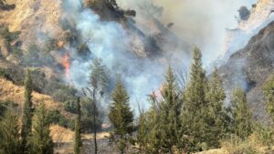 Efeler’de yangın gökyüzünü dumanlar bürüdü