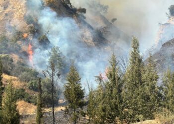 Efeler’de yangın gökyüzünü dumanlar bürüdü