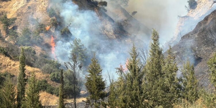 Efeler’de yangın gökyüzünü dumanlar bürüdü