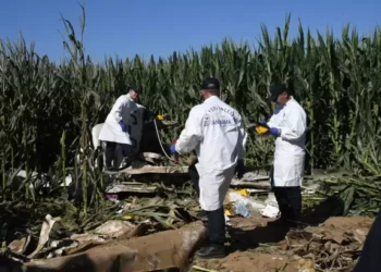 Eğitim uçağı düştü pilot öldü