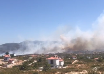 Didim’de makilik alanda yangın çıktı