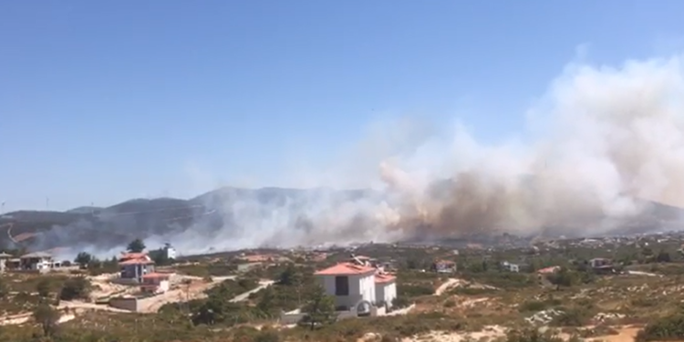 Didim’de makilik alanda yangın çıktı