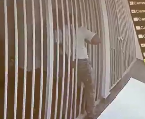 Aydın’ın Didim İlçesinde önceki gün jandarmanın çalışması sonucu 18 düzensiz