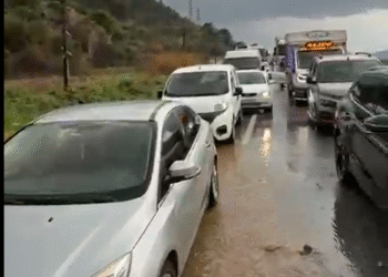 Ekran görüntüsü 2026 01 22 113411