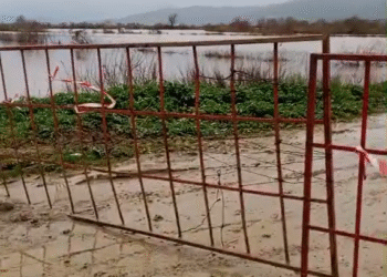 Büyük Menderes taştı muhtar vatandaşları uyardı