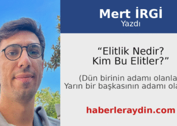 Mert irgi