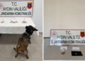 Aydın’da 10 İlçede torbacılara darbe: 10 tutuklama