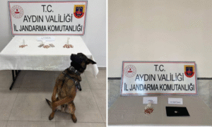 Aydın’da 10 İlçede torbacılara darbe: 10 tutuklama