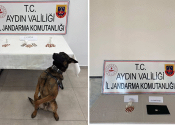 Aydın’da 10 İlçede torbacılara darbe: 10 tutuklama