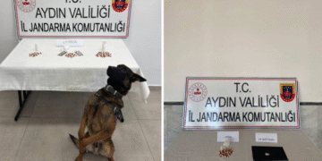 Aydın’da 10 İlçede torbacılara darbe: 10 tutuklama