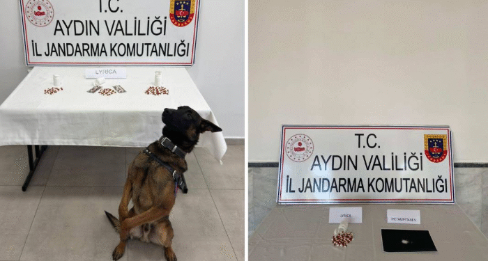 Aydın’da 10 İlçede torbacılara darbe: 10 tutuklama