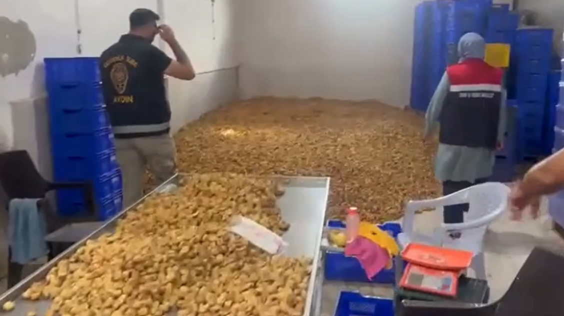 Aydın’ın Köşk ilçesinde gıda güvenliğine yönelik düzenlenen operasyonda piyasa değeri